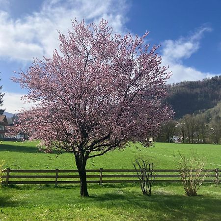 Open Garden Mountain Lodge オーバーアウドルフ エクステリア 写真