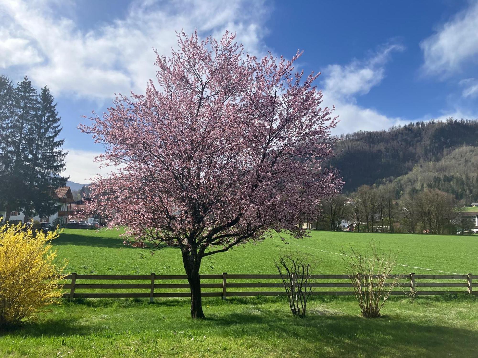 Open Garden Mountain Lodge オーバーアウドルフ エクステリア 写真